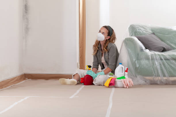Reliable Basement Mold Removal contractor in Hallieford, VA by WQB Mold Removal